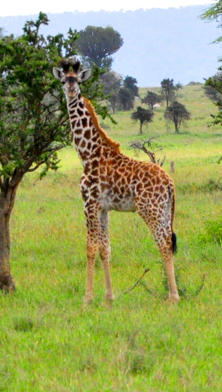 Melanie Heinrich Travel Images Africa